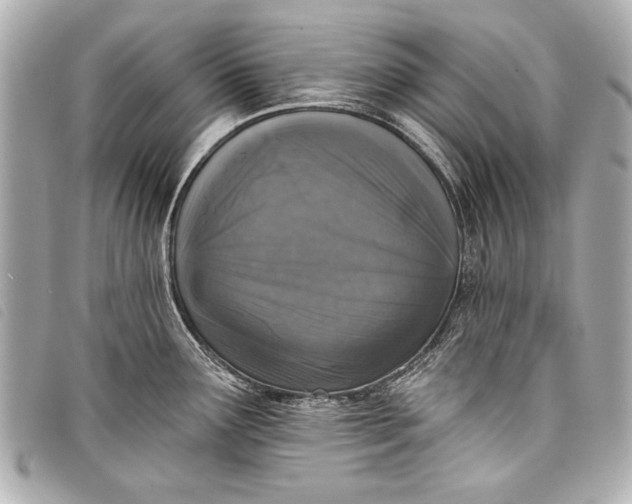 X0000098111291200804181441