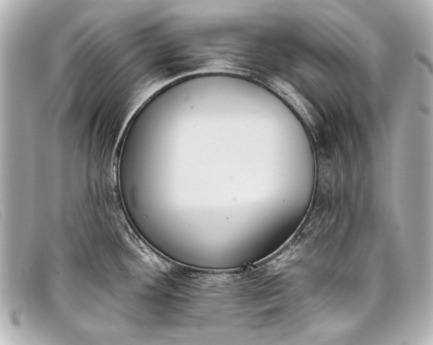 X0000098111292200804181441
