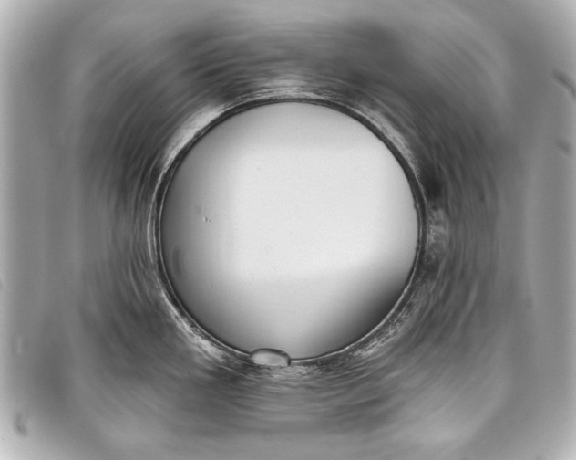 X0000098111293200804181441