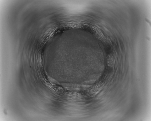X0000098111298200804181440