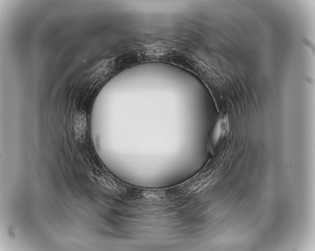 X0000098111299200804181441