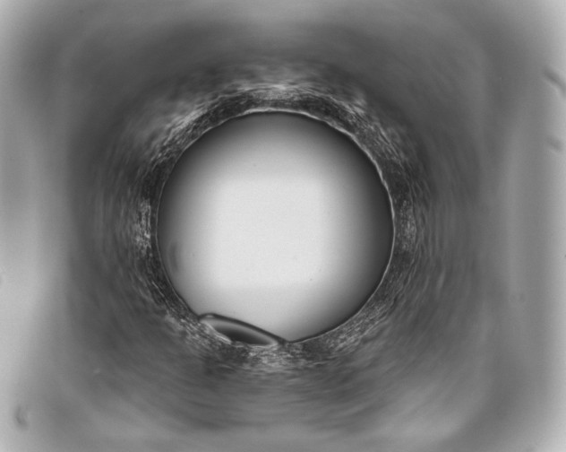 X0000098111301200804181441