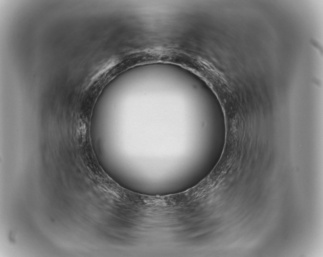 X0000098111302200804181441