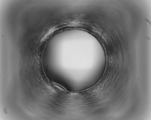 X0000098111304200804181441