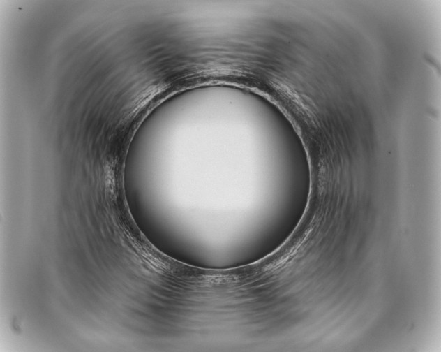 X0000098111305200804181441
