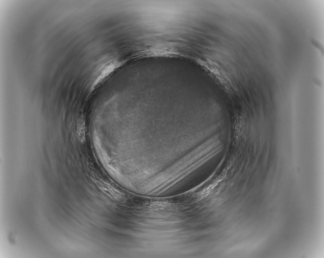 X0000098111306200804181441