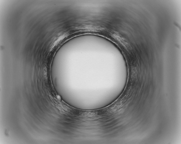 X0000098111307200804181441