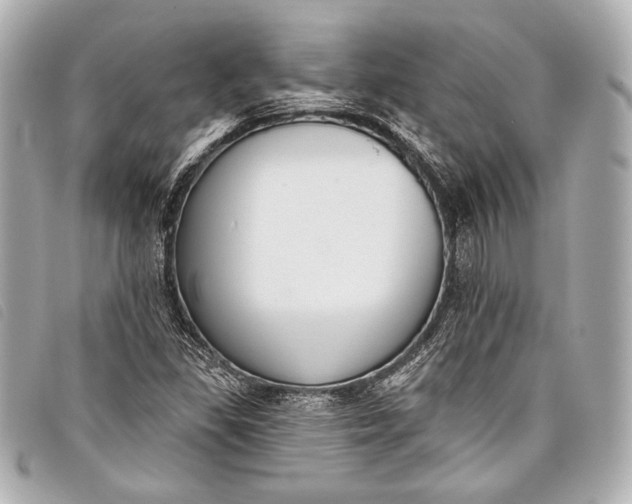X0000098111309200804181441