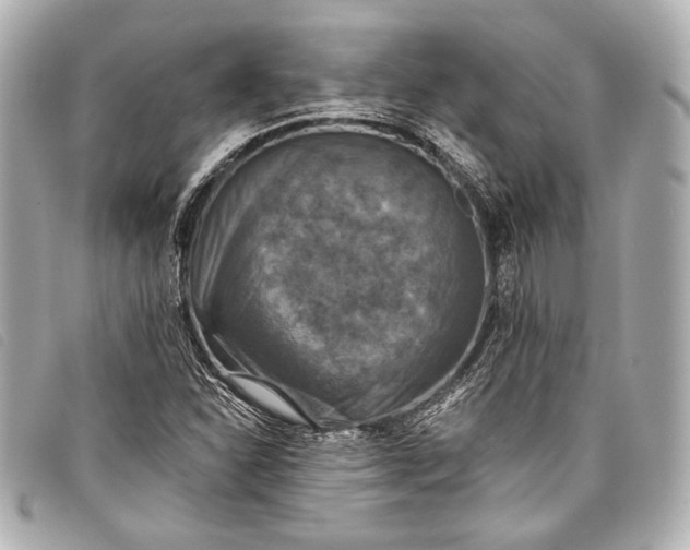 X0000098111310200804181441