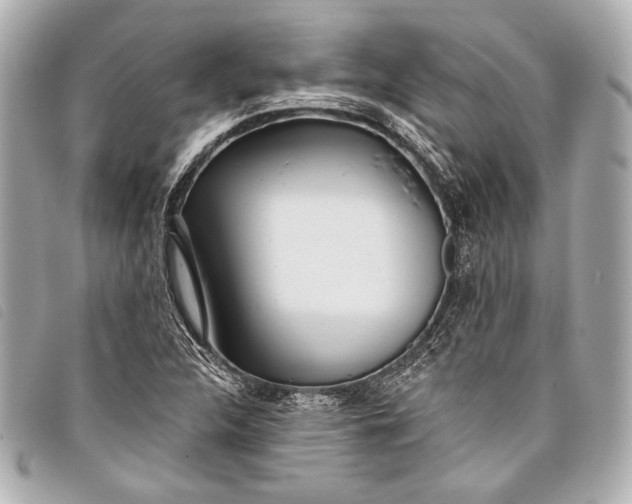 X0000098111312200804181441