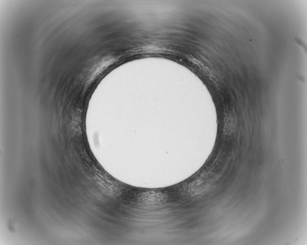 X0000098111314200804181441