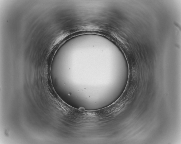 X0000098111315200804181441