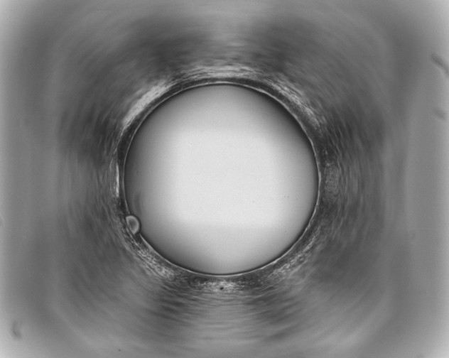X0000098111317200804181441