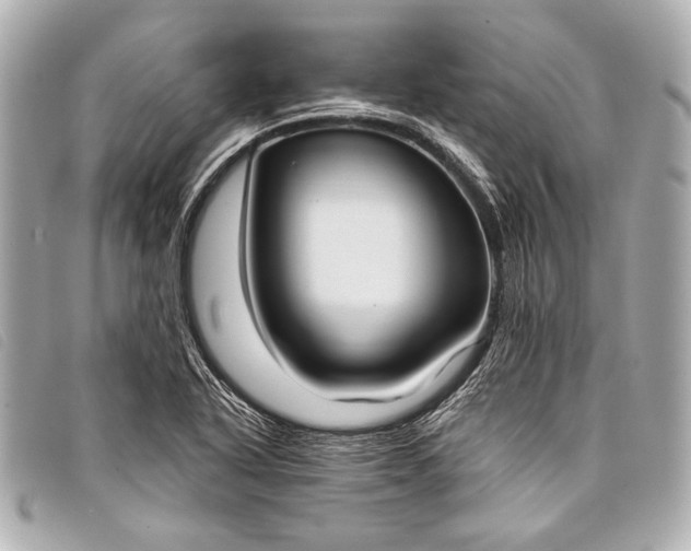 X0000098111318200804181441