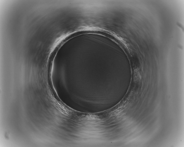 X0000098111319200804181441