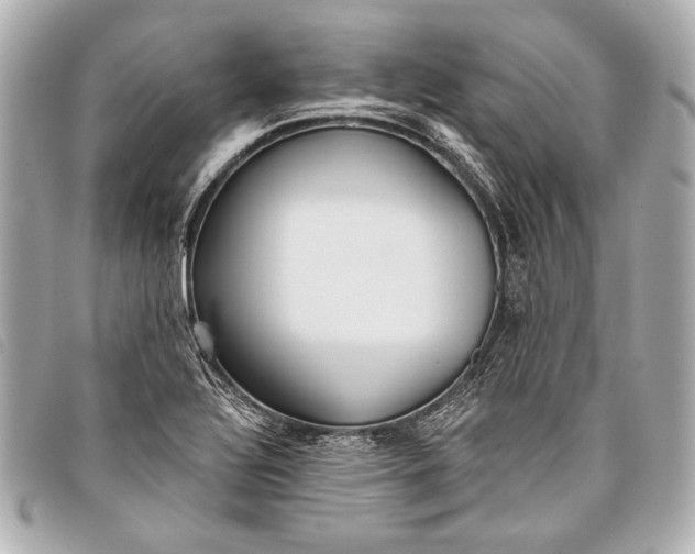 X0000098111320200804181441