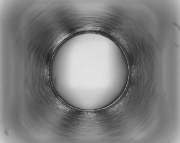 X0000098111321200804181441