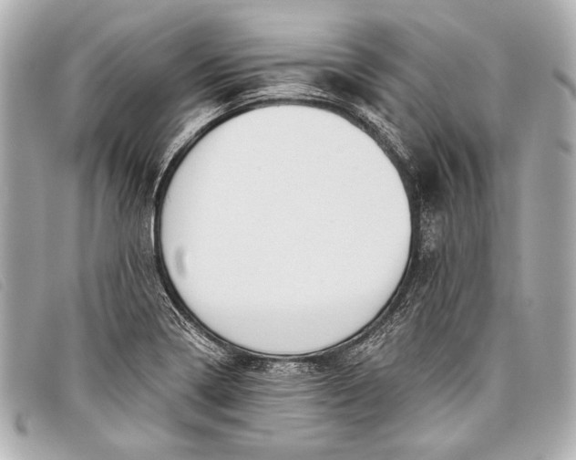X0000098111322200804181441