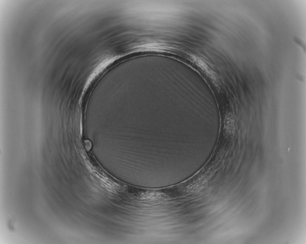 X0000098111323200804181441