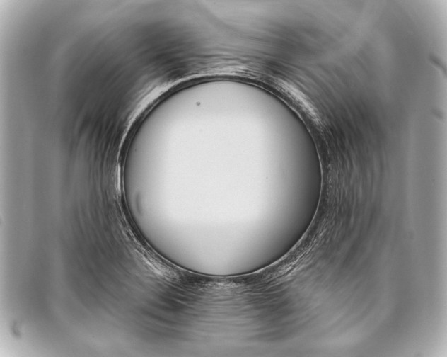 X0000098111324200804181441