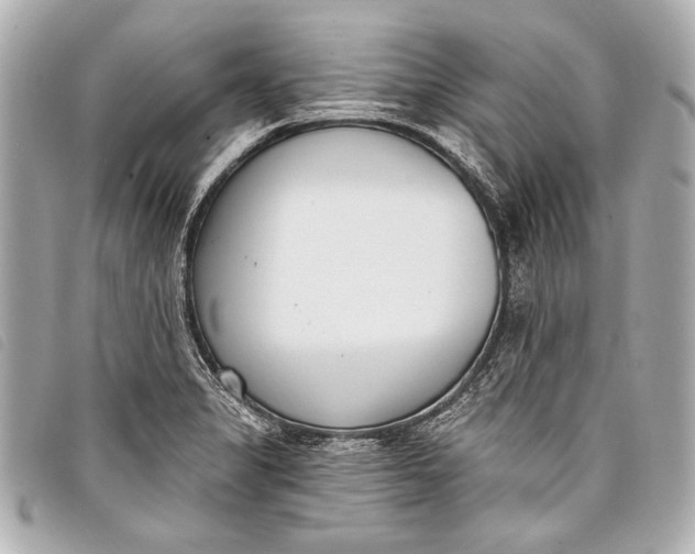 X0000098111325200804181441