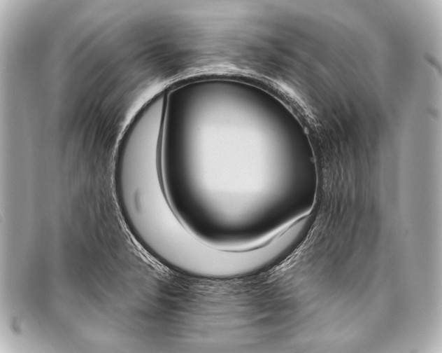 X0000098111326200804181441
