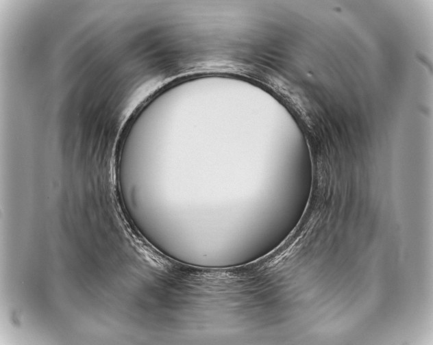 X0000098111328200804181441