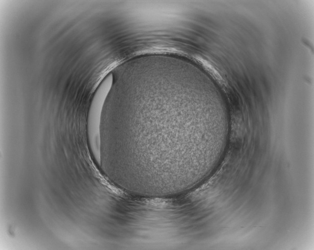 X0000098111329200804181441