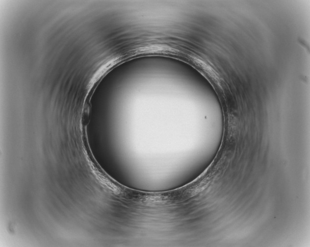 X0000098111330200804181441