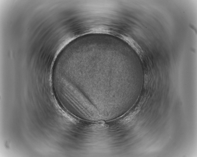 X0000098111331200804181441