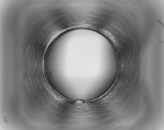X0000098111332200804181441