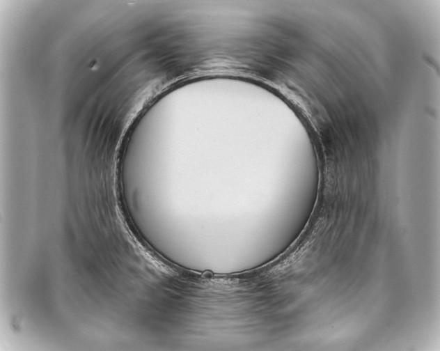 X0000098111333200804181441