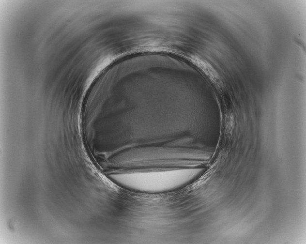 X0000098111334200804181441