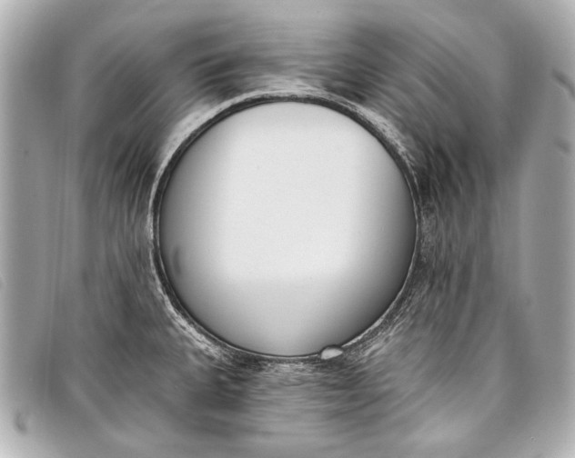 X0000098111335200804181441
