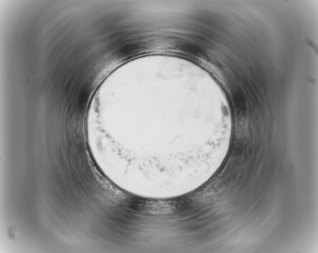 X0000098111338200804181441