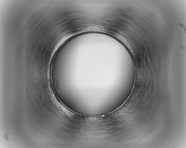 X0000098111339200804181441