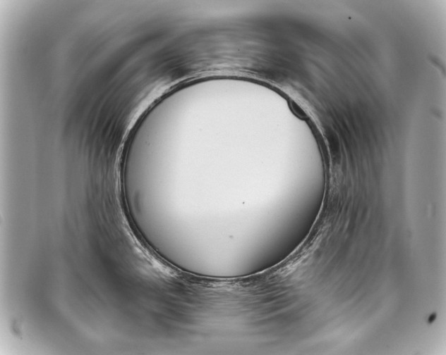 X0000098111341200804181441