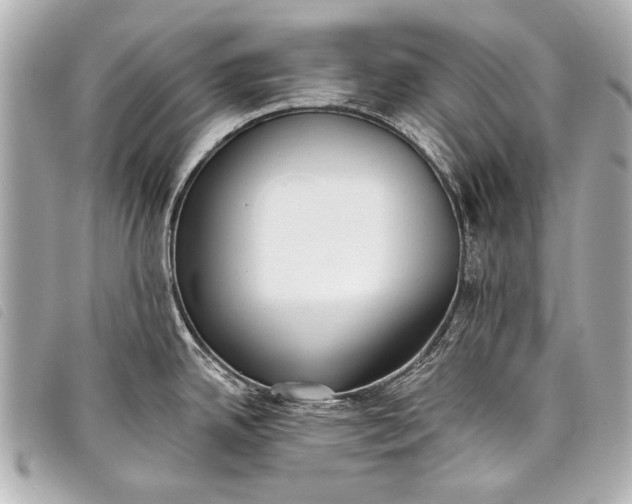 X0000098111342200804181441