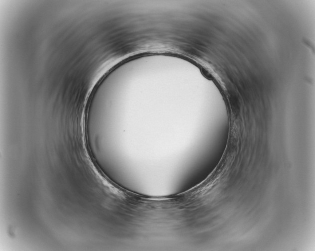X0000098111343200804181441