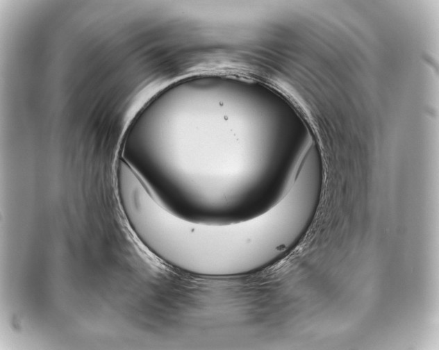 X0000098111344200804181441