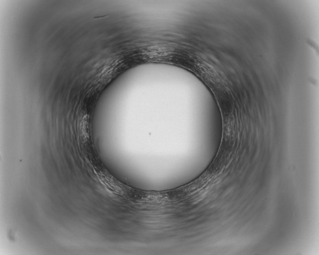 X0000098111346200804181440
