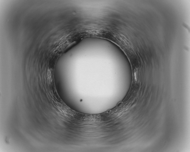 X0000098111347200804181440