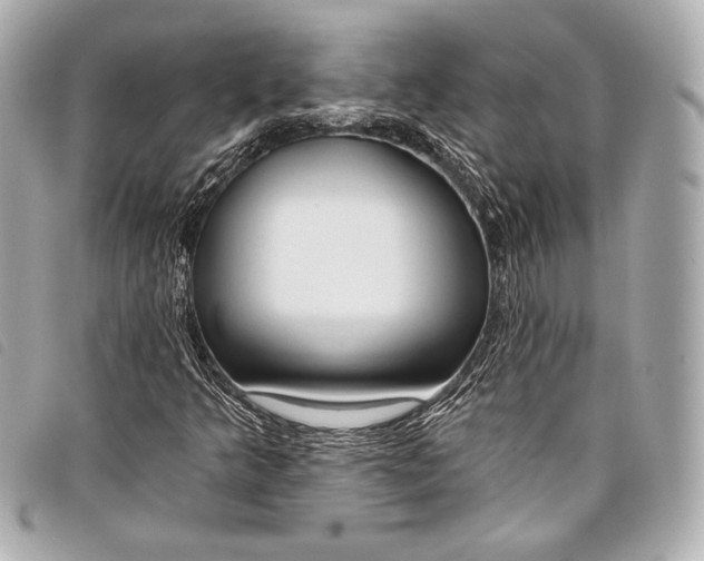 X0000098111349200804181440