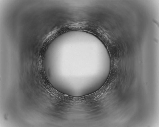 X0000098111350200804181440