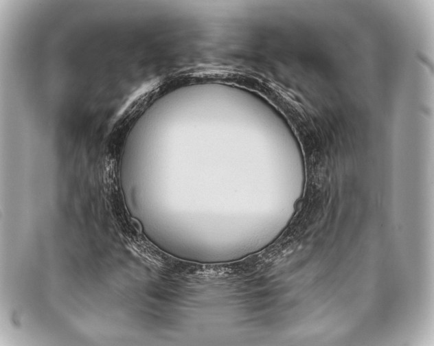X0000098111351200804181440