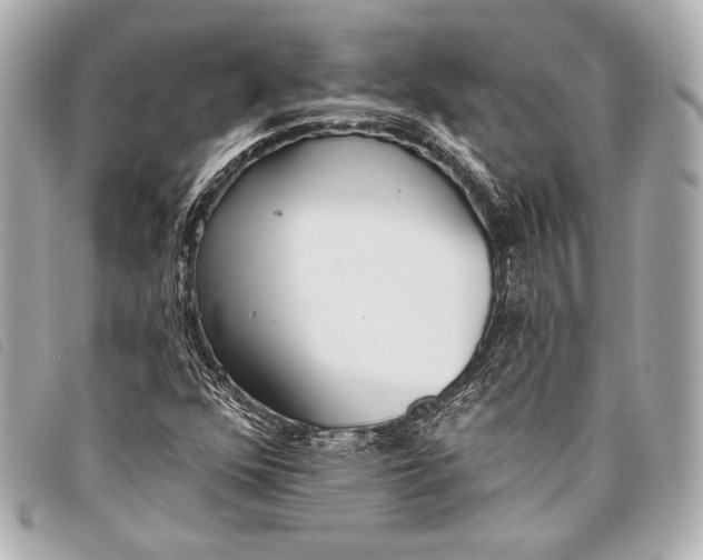 X0000098111352200804181440