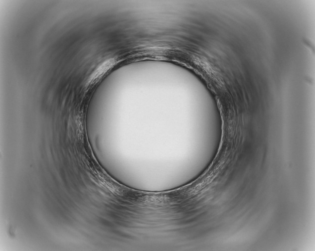 X0000098111354200804181440
