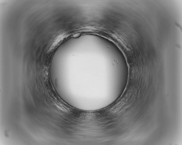 X0000098111355200804181440