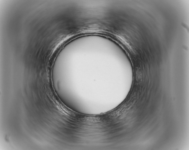 X0000098111356200804181440