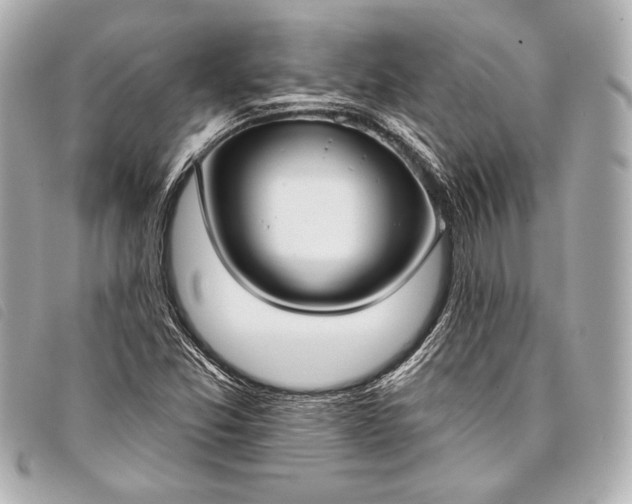 X0000098111357200804181440